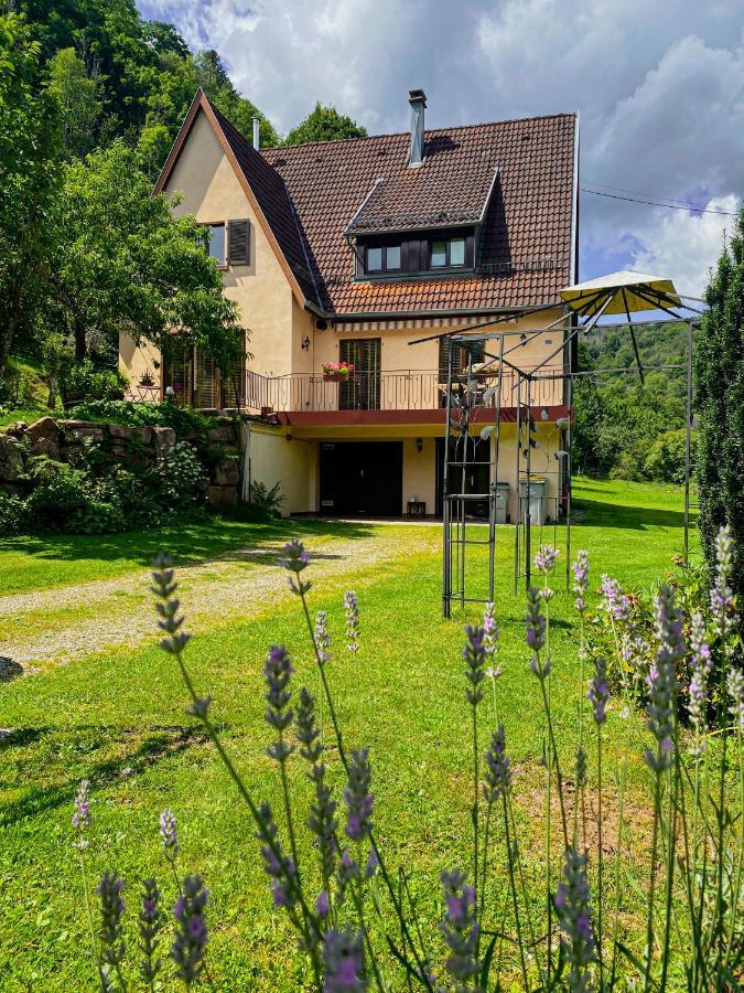 La Araucania, 2 Personnes - Wifi Rombach-le-Franc Bagian luar foto