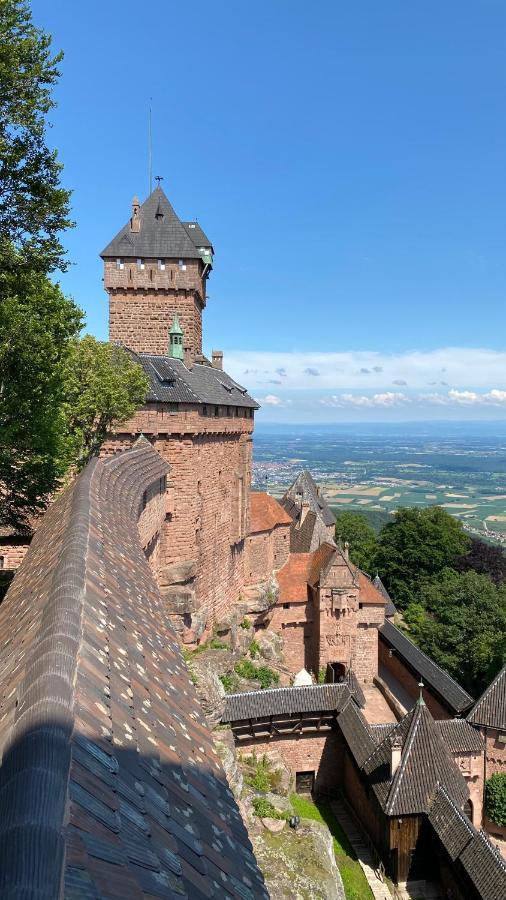 La Araucania, 2 Personnes - Wifi Rombach-le-Franc Bagian luar foto